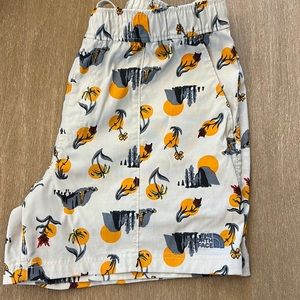 Men’s north face shorts size medium